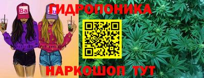 прущие крисы Лесосибирск