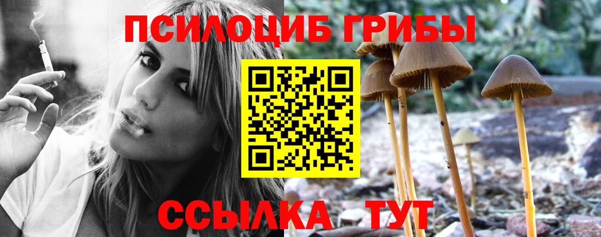 Псилоцибиновые грибы Magic Shrooms Гуково