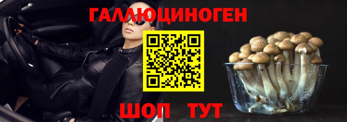 наркота  Галлюциногенные грибы прущие грибы  Вход с VPN  Галлюциногенные грибы мицелий  Гуково 
